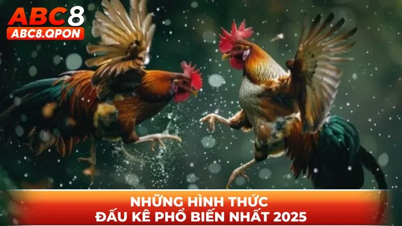 Những hình thức đấu kê phổ biến nhất 2025